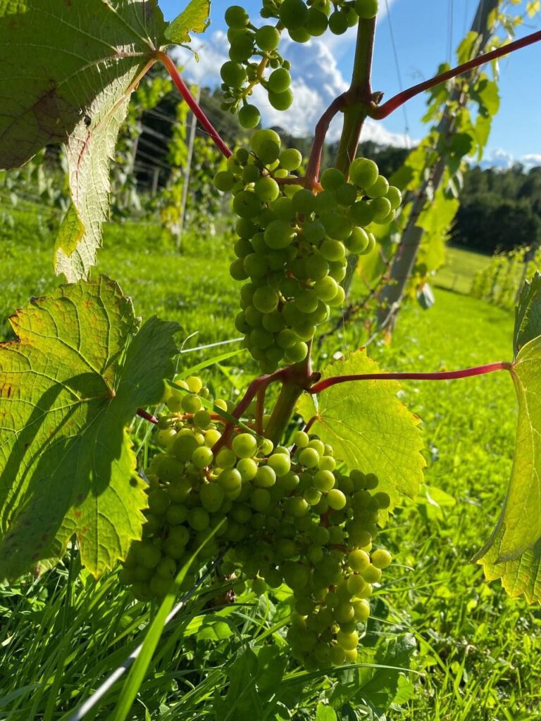 photo_2025-09-22_22-24-02