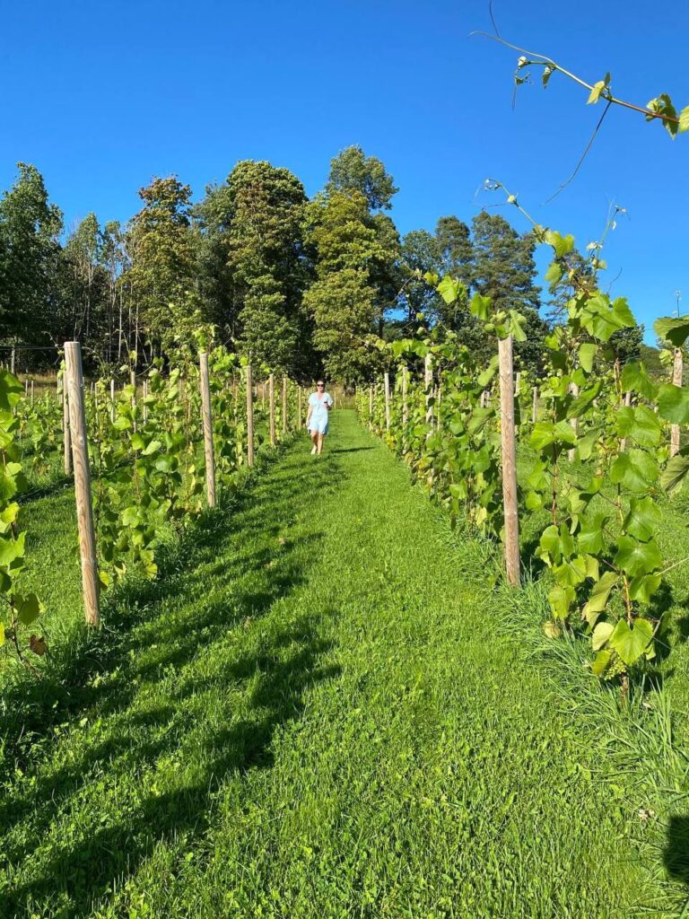 photo_2025-09-22_22-24-09