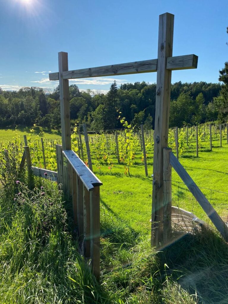 photo_2025-09-22_22-24-11