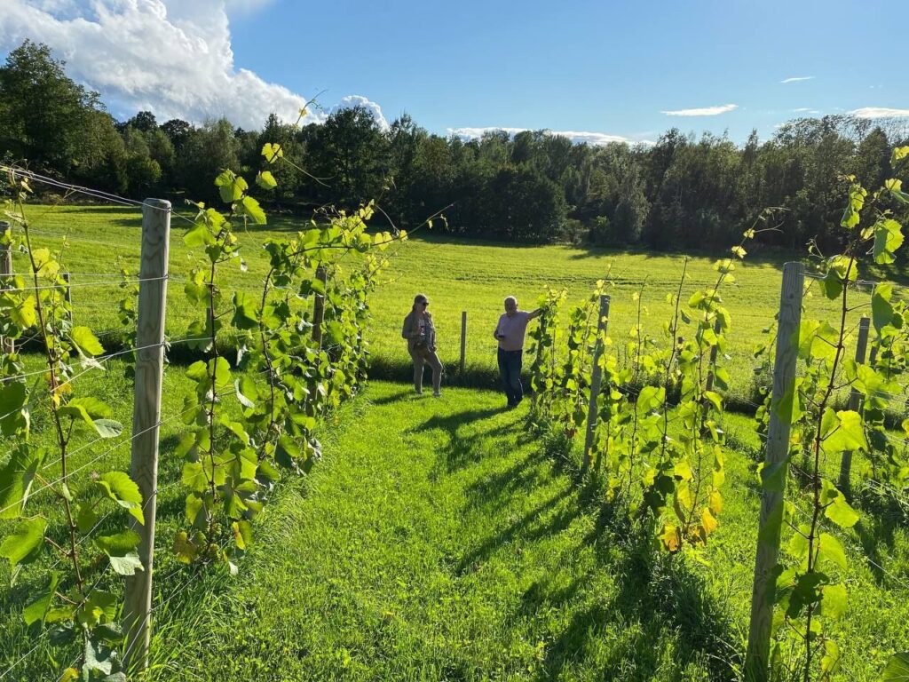 photo_2025-09-22_22-24-13