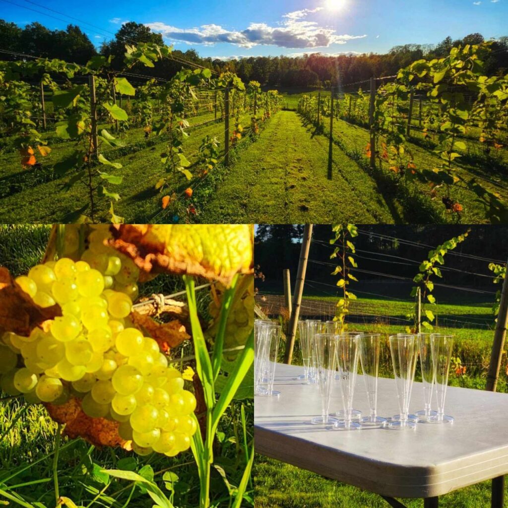 photo_2025-09-22_22-24-44