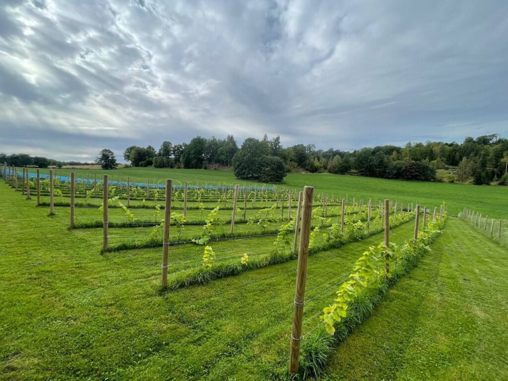 photo_2025-09-22_22-24-58